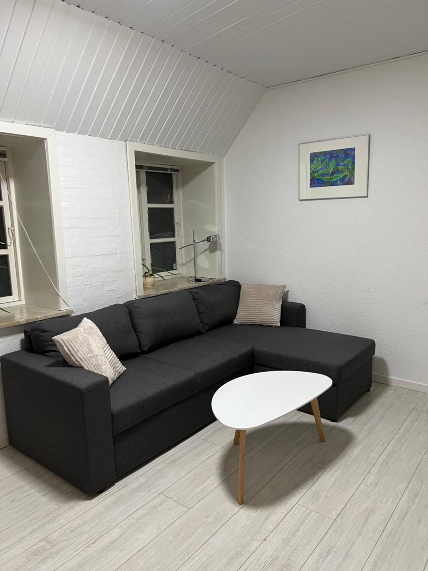 Apartment With Wifi, Close To City Center, Beach And Forrest Åbenrå Extérieur photo