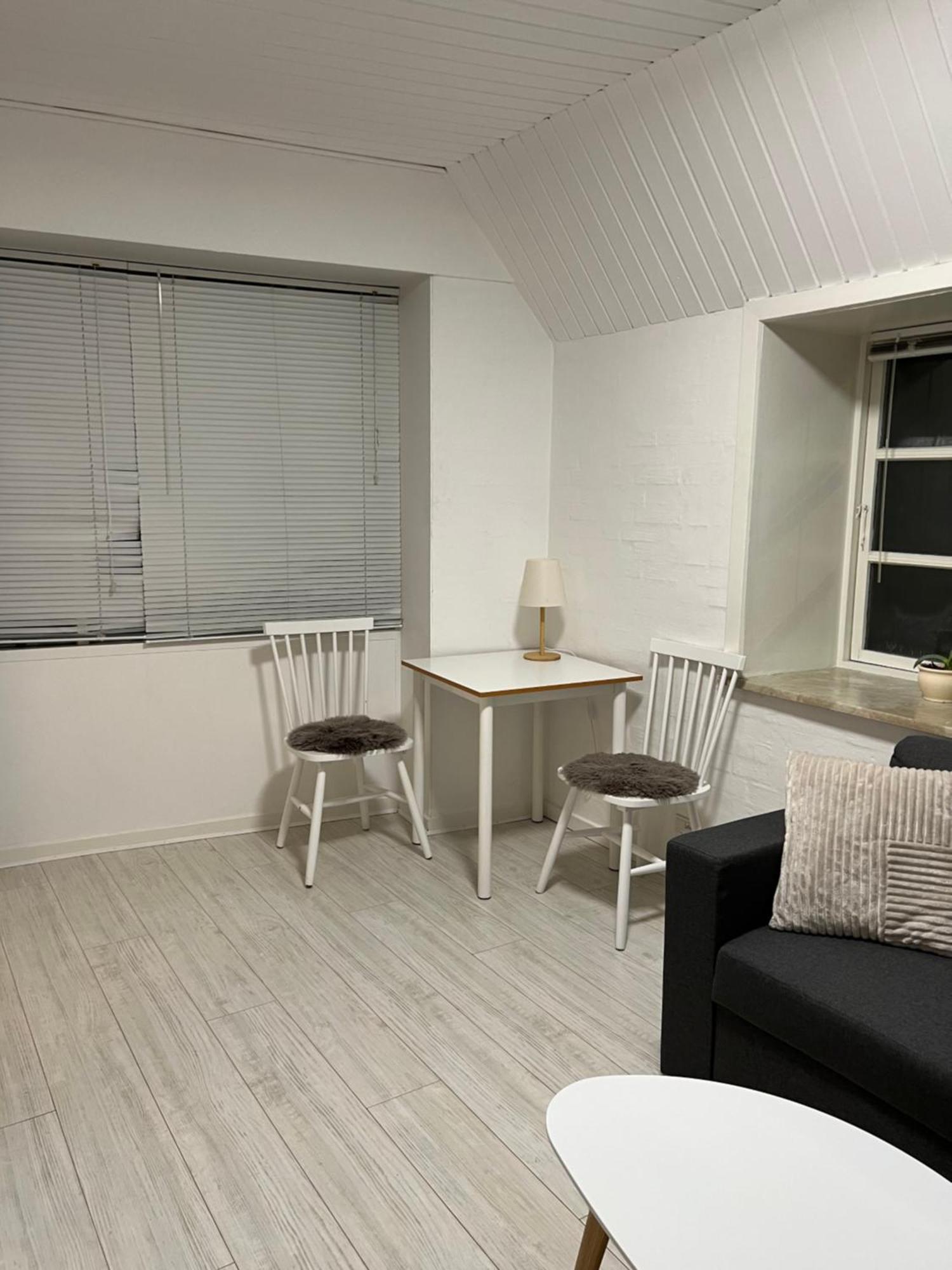 Apartment With Wifi, Close To City Center, Beach And Forrest Åbenrå Extérieur photo